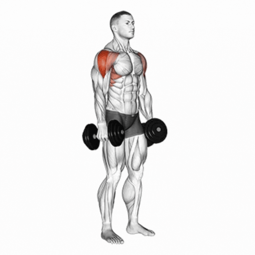 Dumbbell Lateral Raise