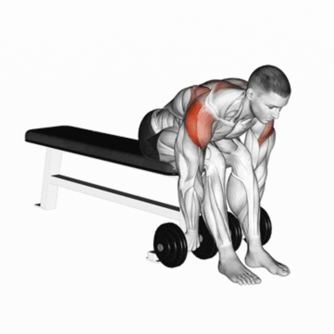 Dumbbell Bent Over Reverse Row On Bench