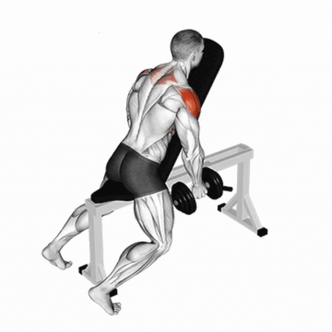 Dumbbell Chest Supported Lateral Raise