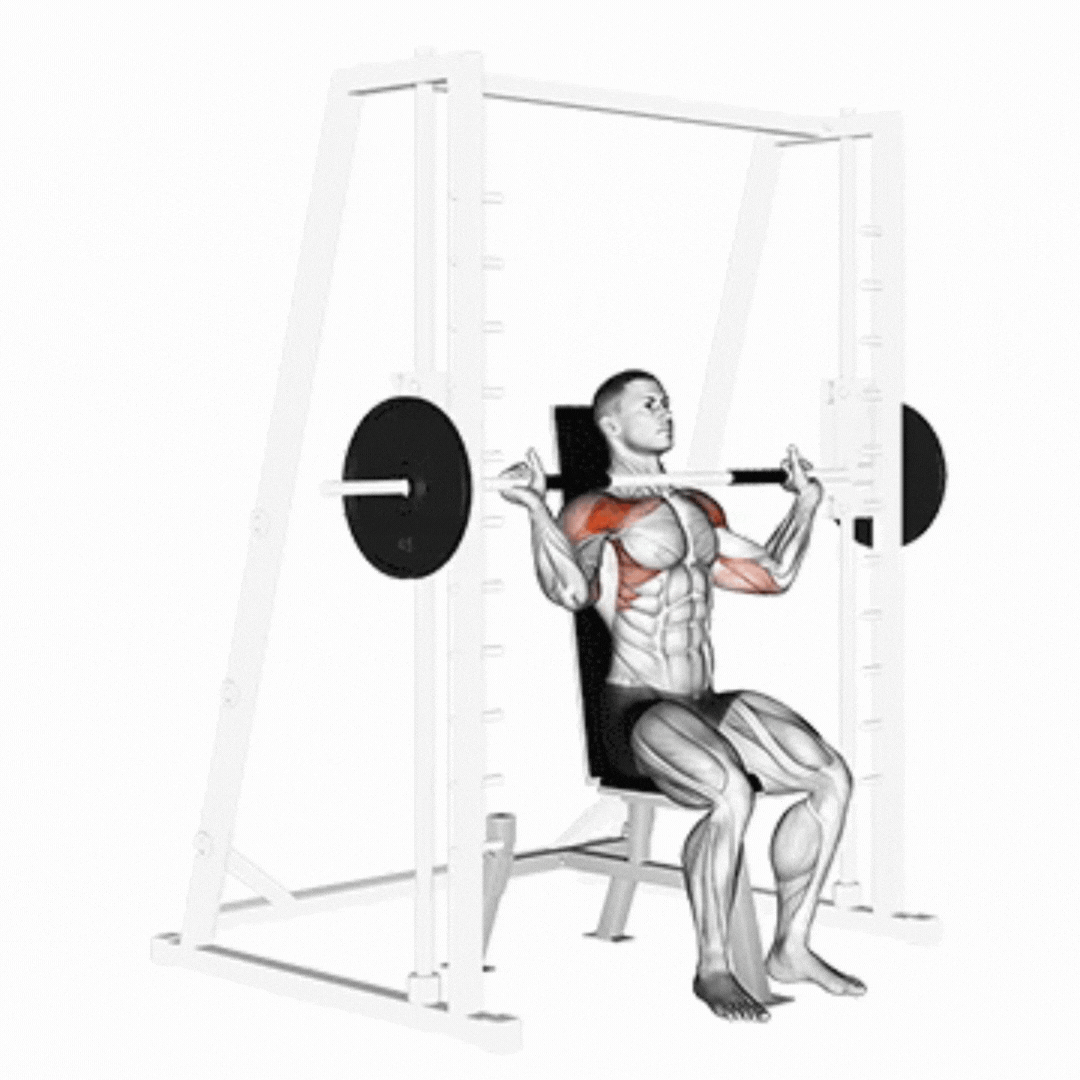 Smith Seated Shoulder Press