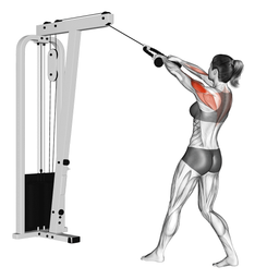 Cable Rear Delt Row
