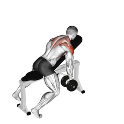 Dumbbell Incline Y Raise