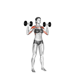 Dumbbell Military Press