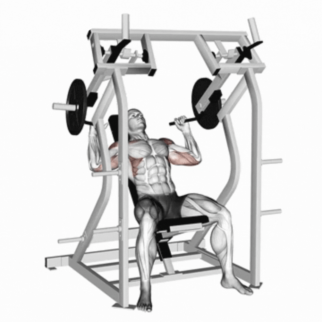 Plate Loaded Shoulder Press Machine