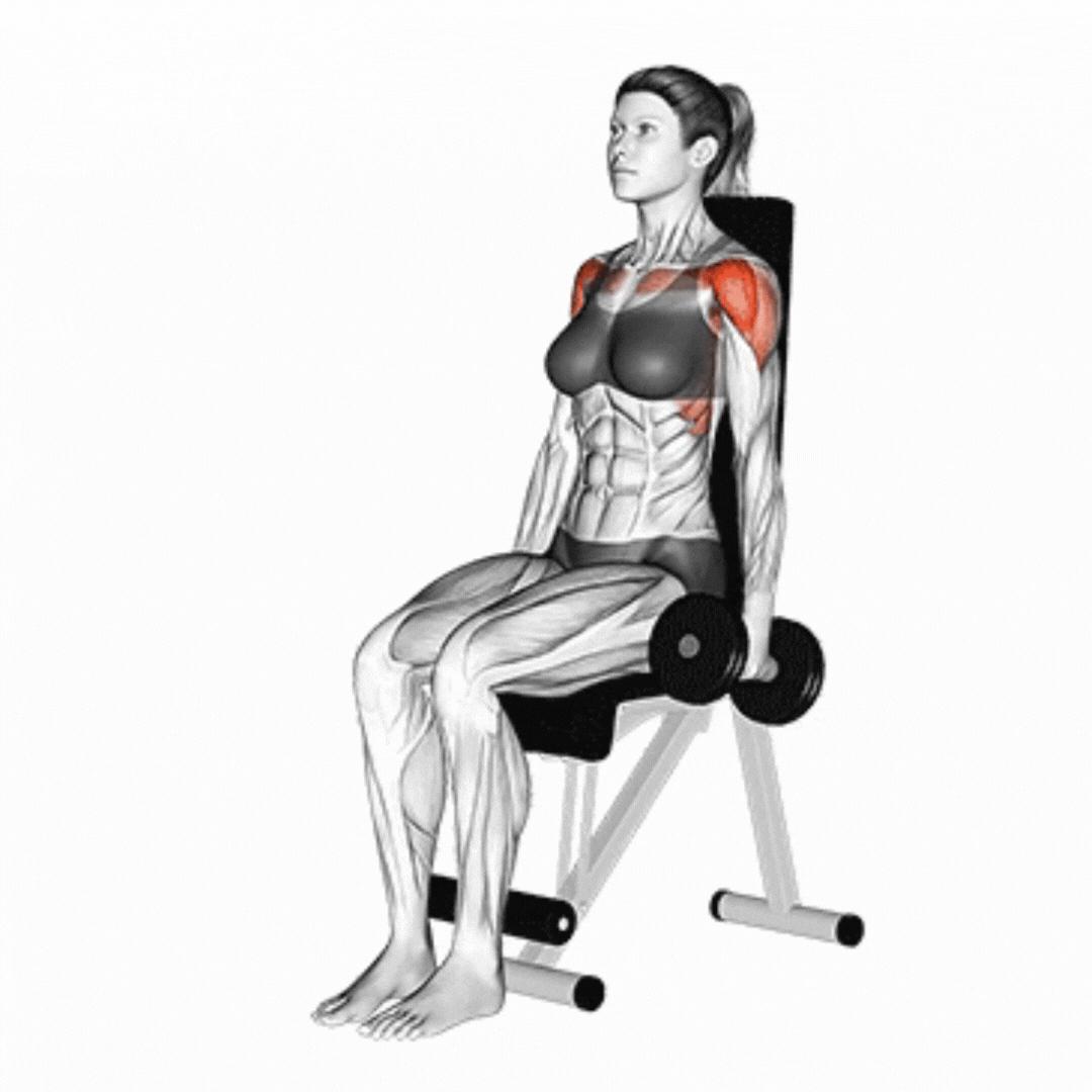 Seated Dumbbell Front Raise