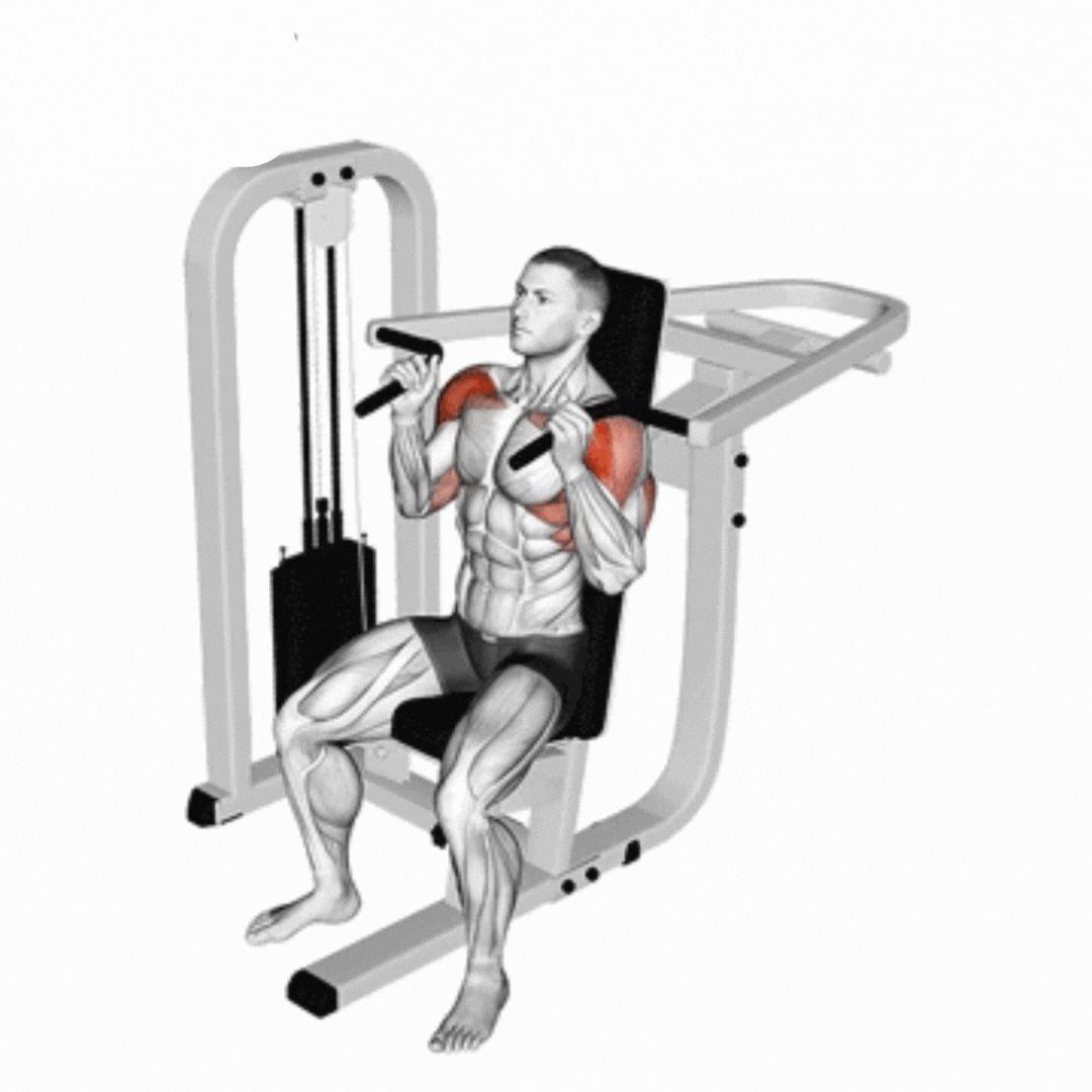 Lever Shoulder Press