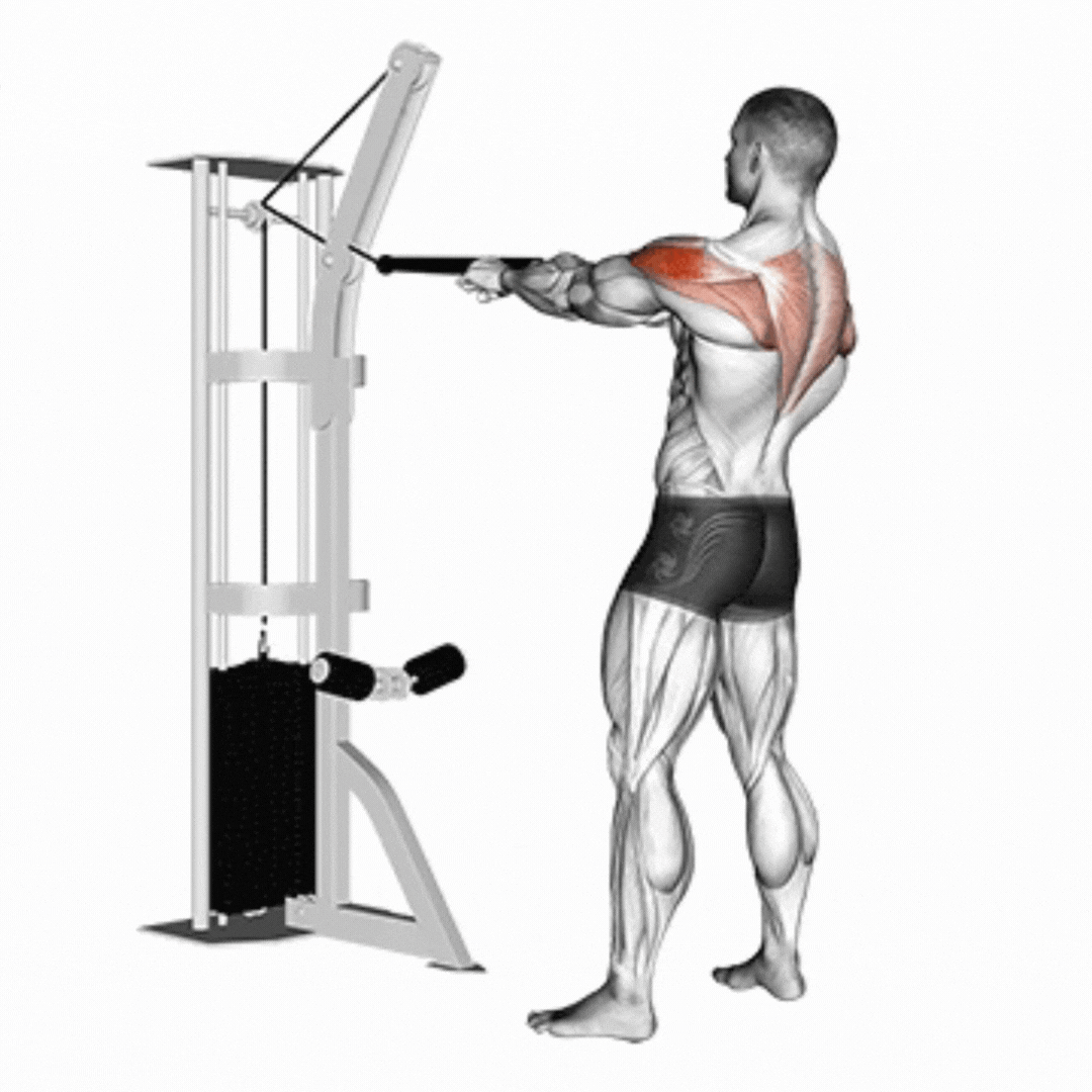 Cable Facepull (with rope)