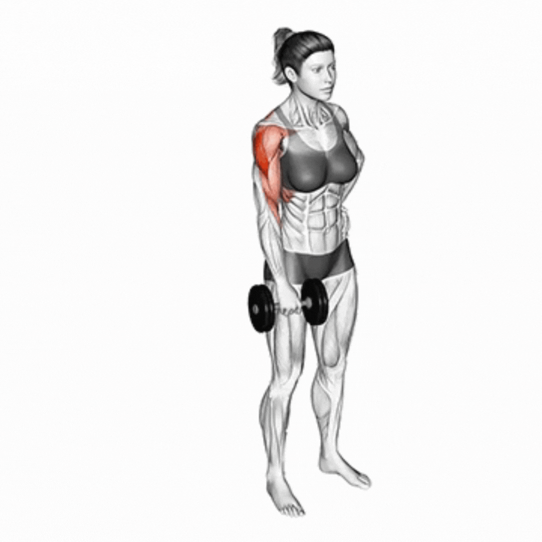One-arm Dumbbell Upright Row