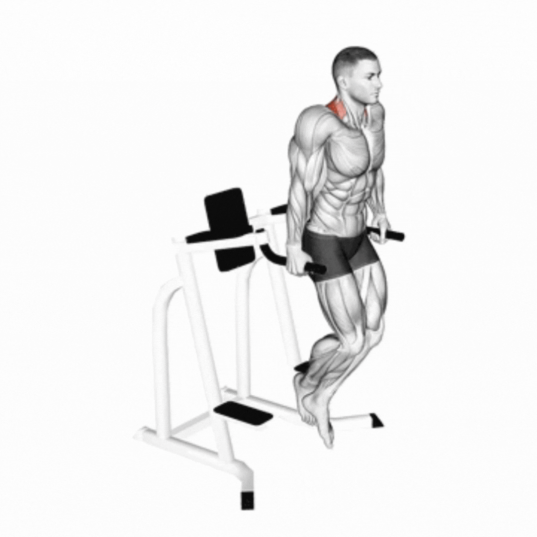 Dip Shrugs