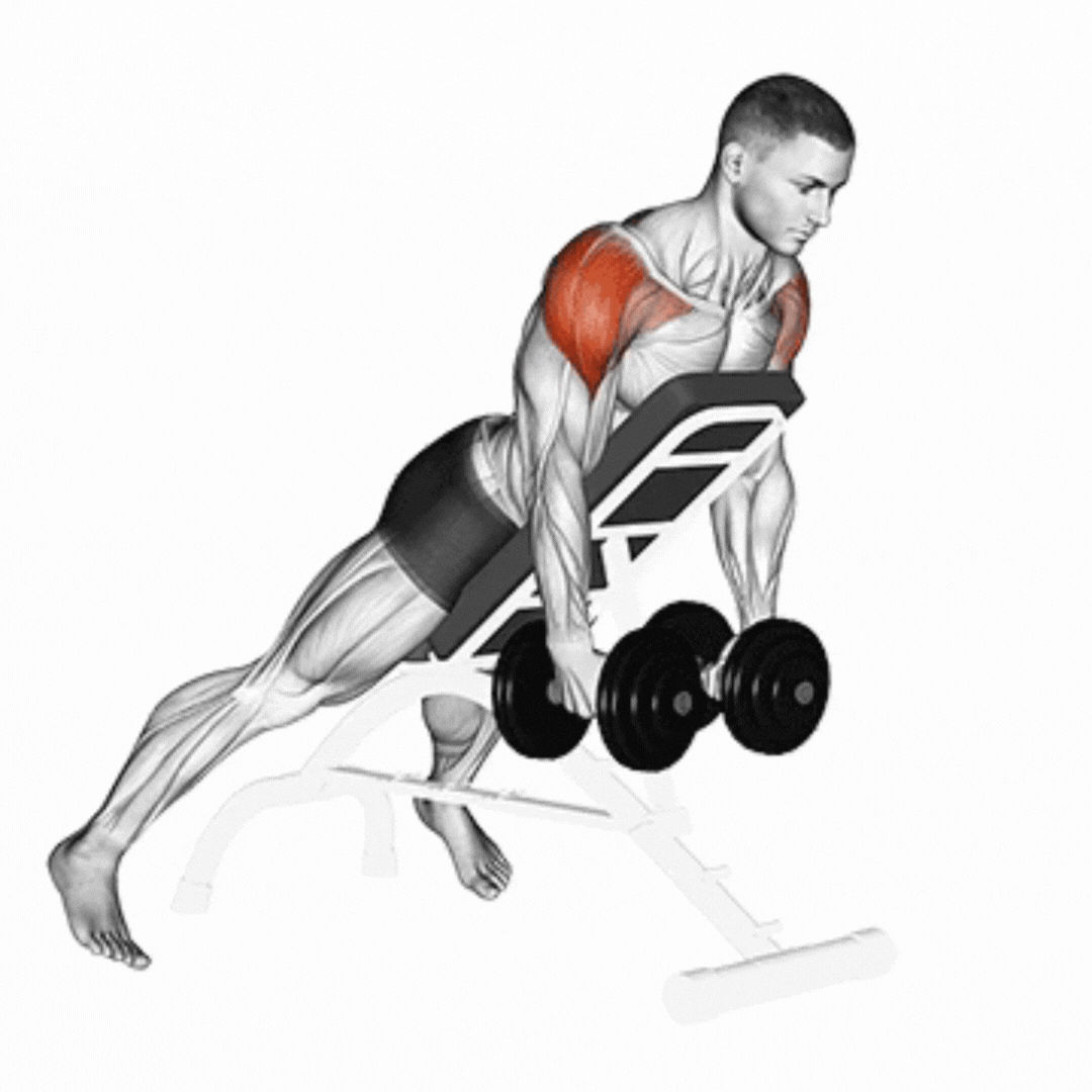 Dumbbell Reverse Fly