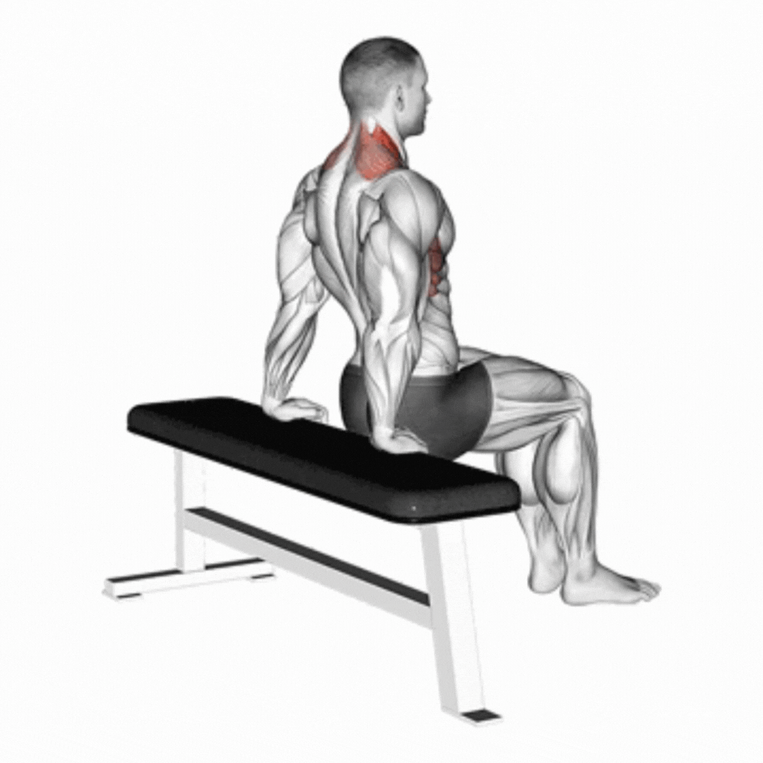 Scapular Dips
