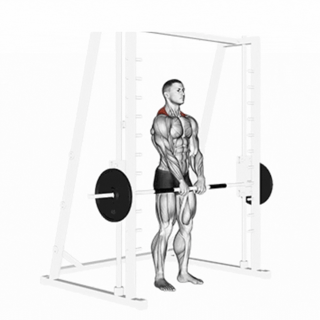 Smith Machine Shrug