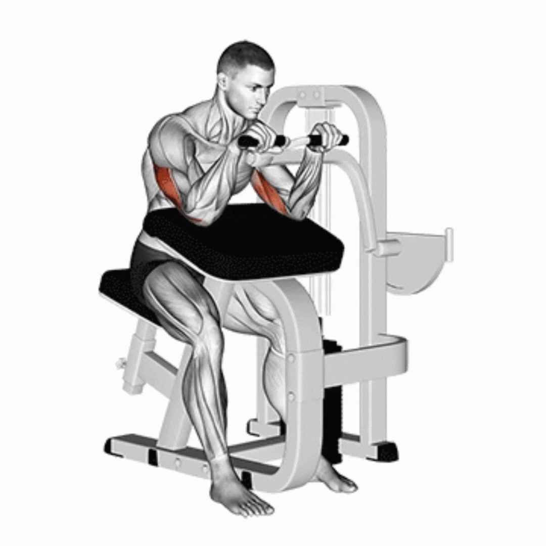 Lever Tricep Extension