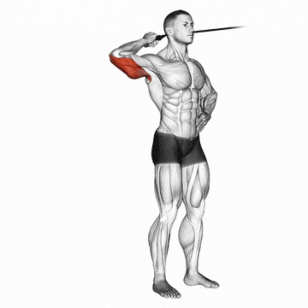 Cable Side Triceps Extension