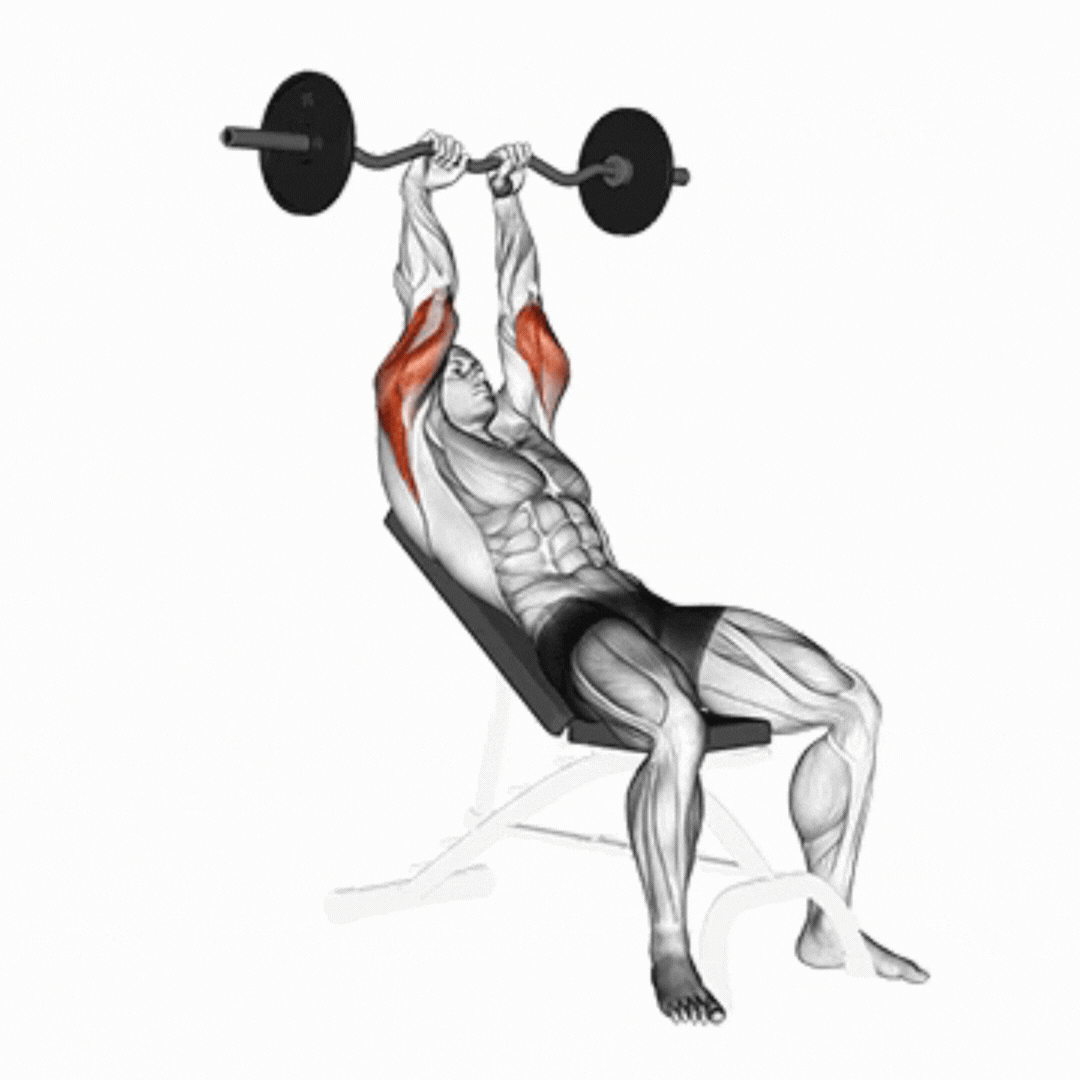 Cable Incline Triceps Extension Z-Bar