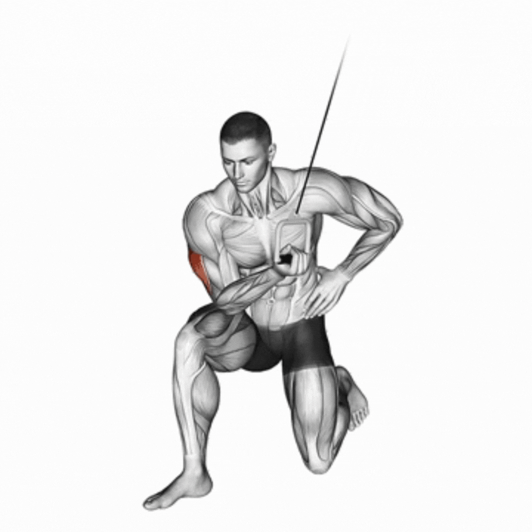 Cable Concentration Extension on Knee