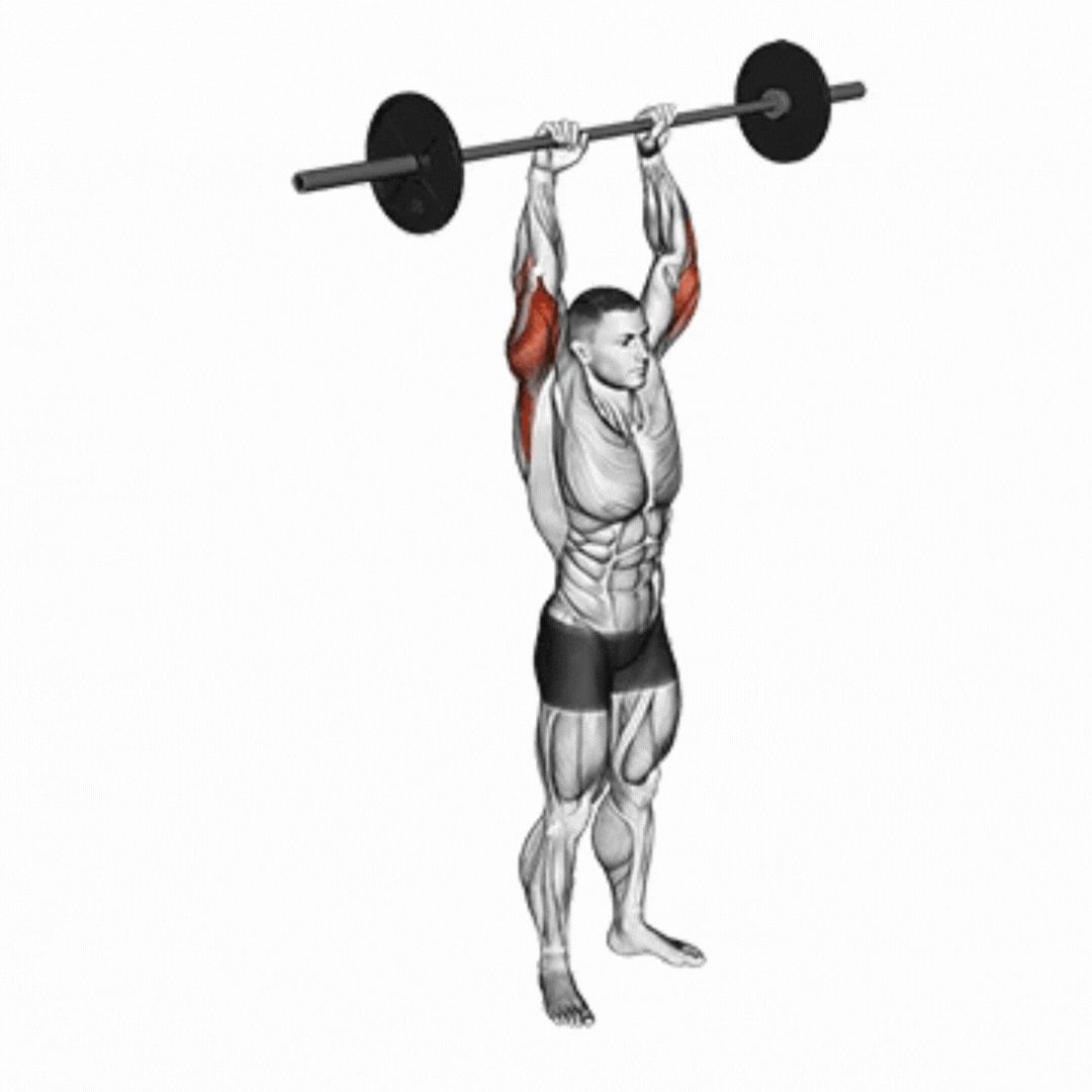 Standing Barbell Triceps Extension