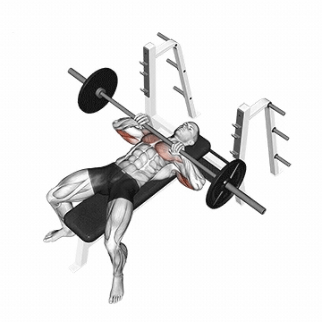 Barbell Grip Bench Press