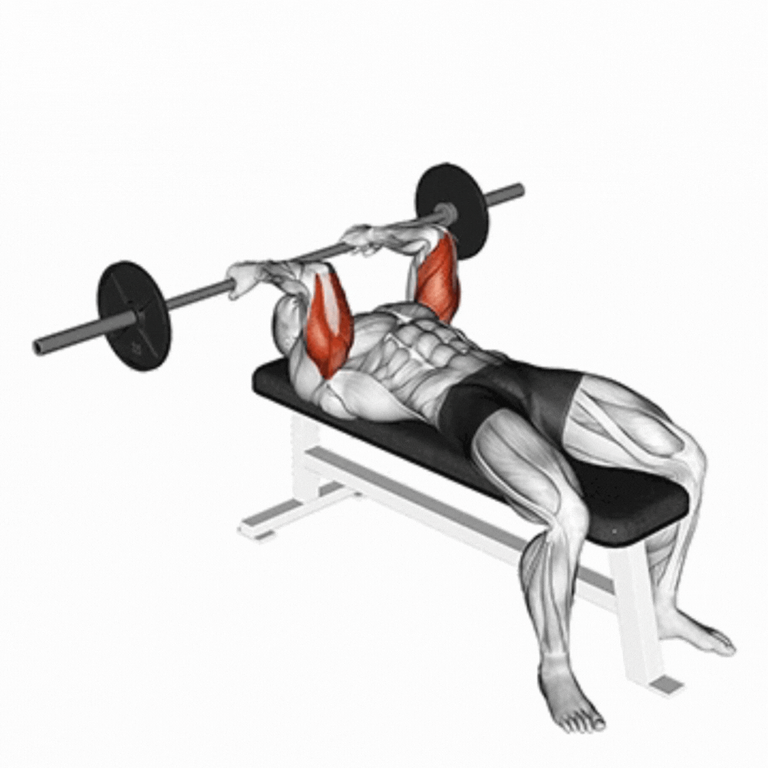 Barbell Reverse Grip Skullcrusher