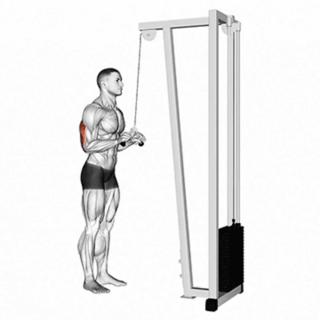 V-Bar Pushdown