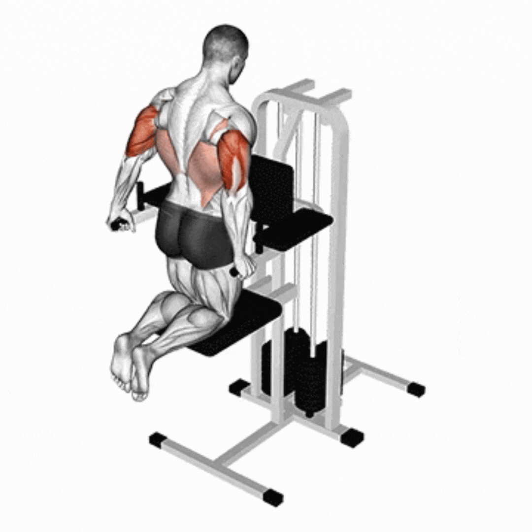 Assisted Triceps Dips
