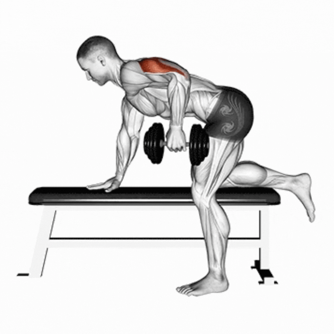 Dumbbell Kickback