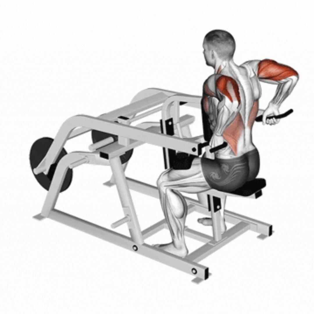 Tricep Dips With Weights