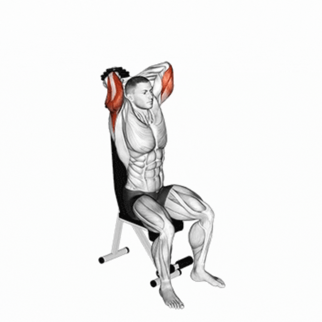 Seated Dumbbell Triceps Extension