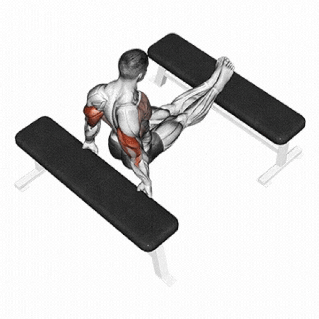 Bench Dips