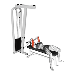 Cable Lying Triceps Extension