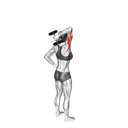Triceps Overhead Extensions